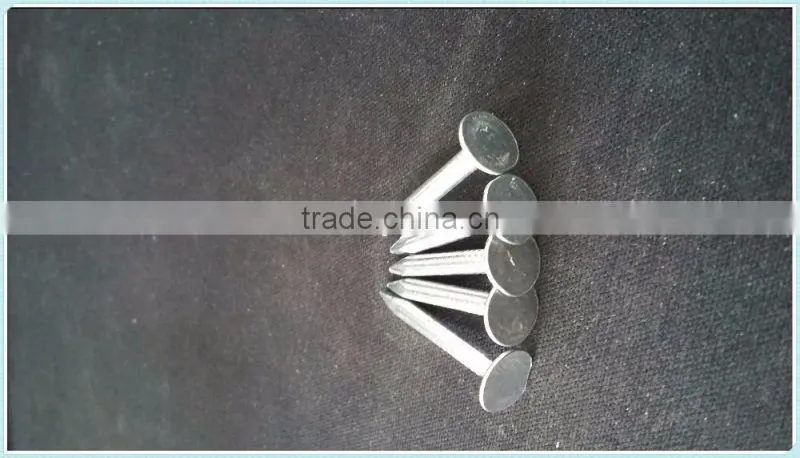 coil roofing,factory direct sale nails