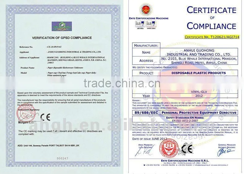 bbq tool glove,plastic gloves,disposable pe gloves,ldpe gloves