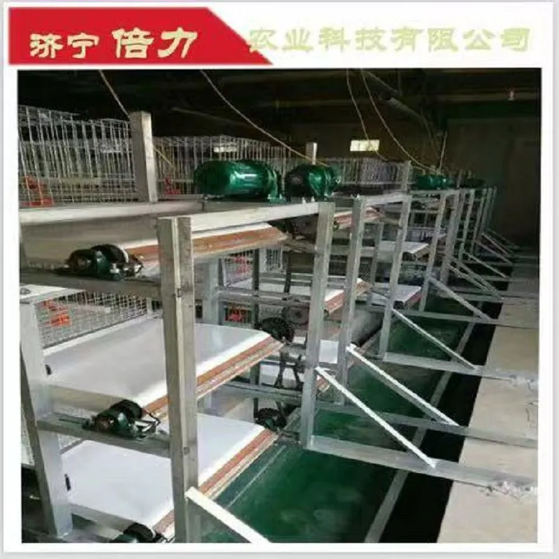 3dd7ce82b58b481291562087d0d88ec2.jpg.webp