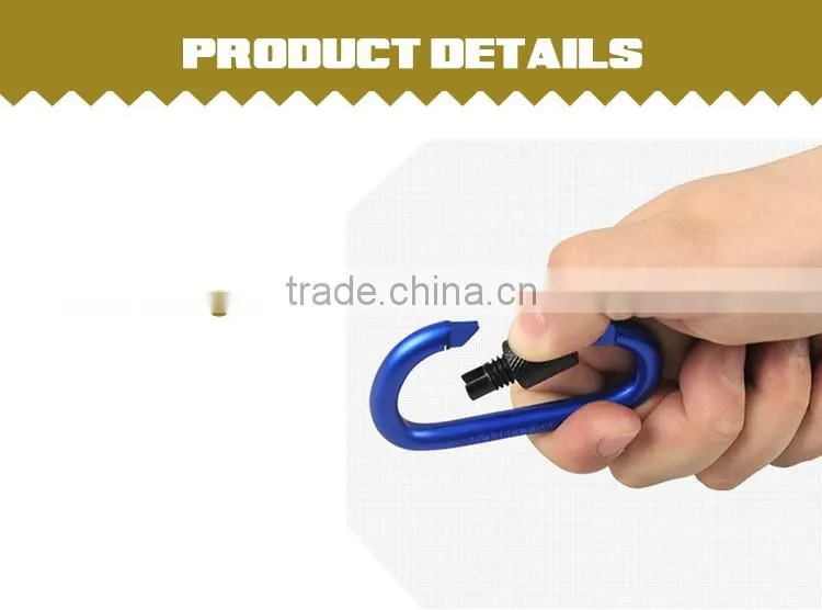Carabiner KeyChain