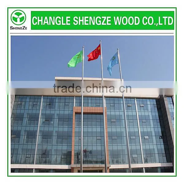 2015 China wholesale decorative wood veneer MDF door skin panels