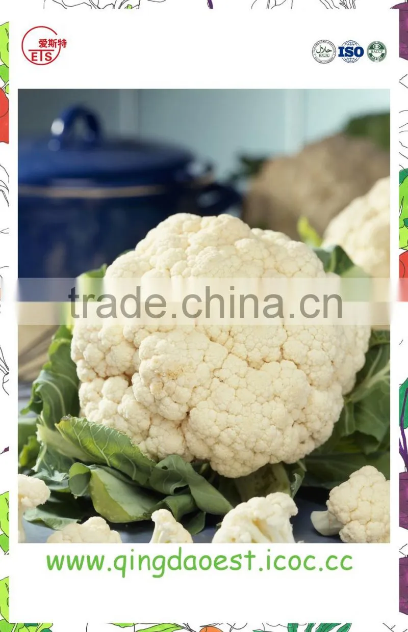 Harvest for sale in Competitive Price Chinese Fresh Cauliflowers