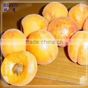frozen apricot and frozen fruits