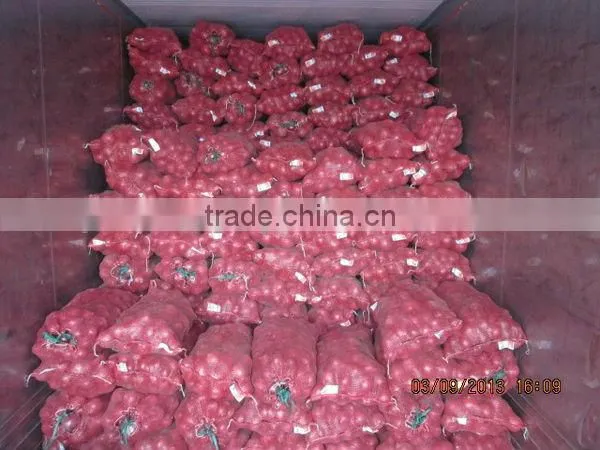 Fresh Red Onion