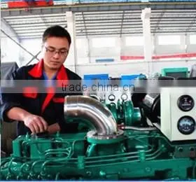LD60GF 75kva 50hz Generator with Super Silent Canopy