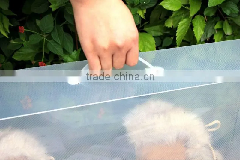 PP plastic clear ladies exquisit shoe box