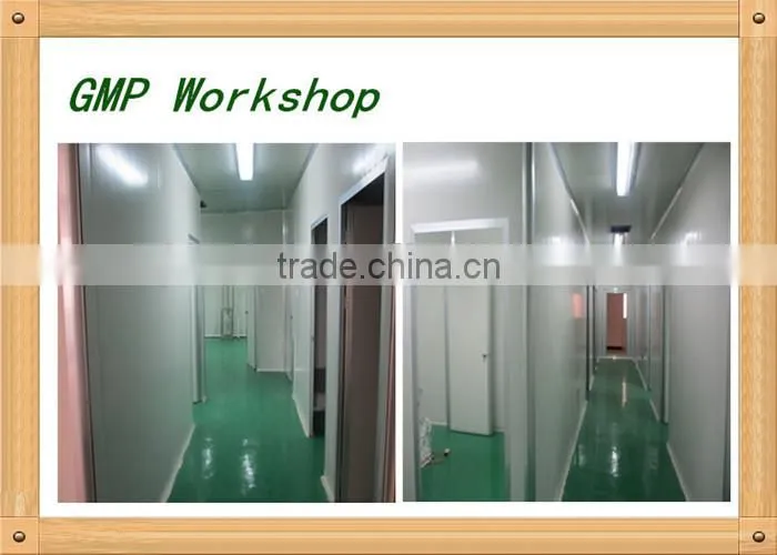 Xuesong factory supply hot sale extractum glycyrrhizae liquidum