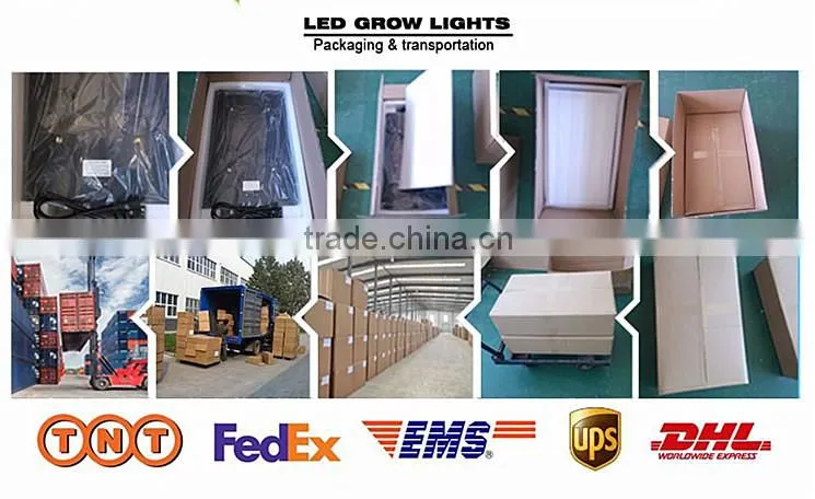 Full spectrum 20x3w COB PAR led grow light