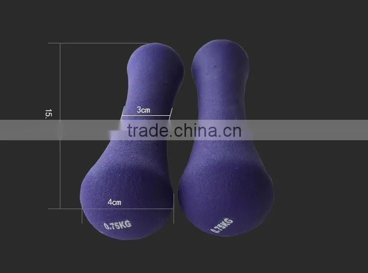 high quality 0.75kg fly tying dumbbell for wholesale