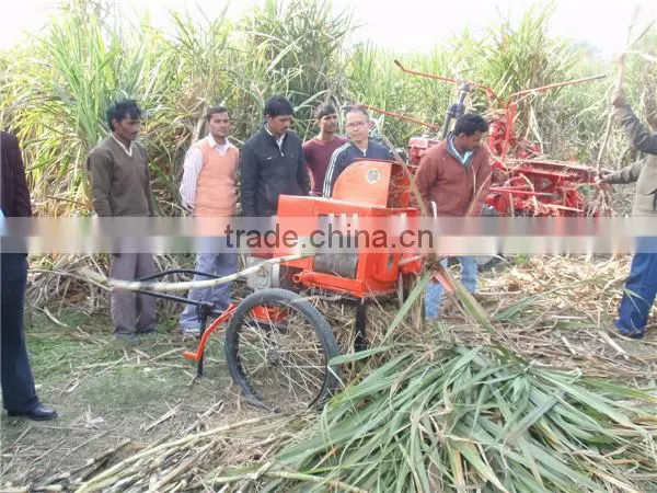6BZ-5 Mini sugarcane machine leaf cutter easy operation sugarcane leaf remove