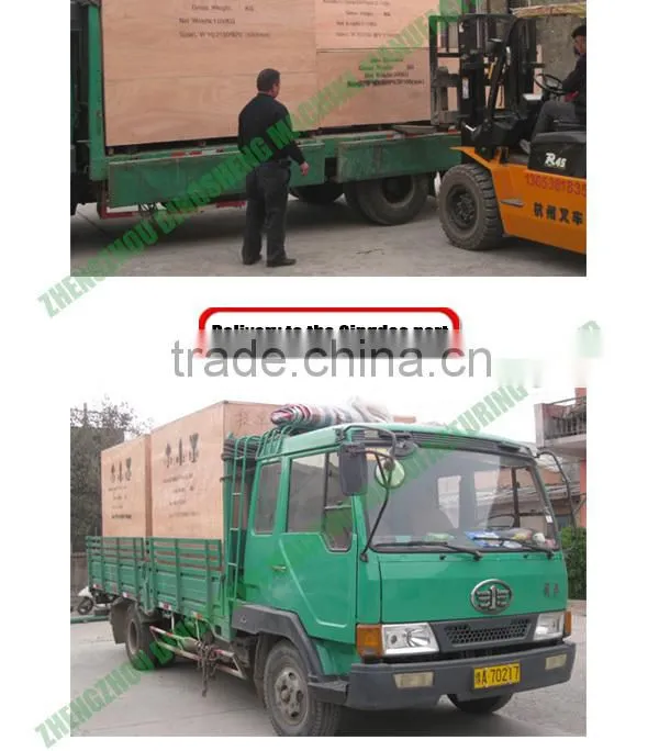 Hot sale in Africa baobab seeds oil press machine from Dingsheng