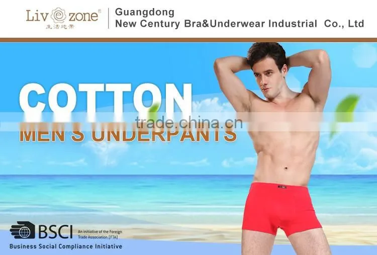 SALE OEM Classic Style Boxer 95% Cotton Comfort sexy Men Underwear