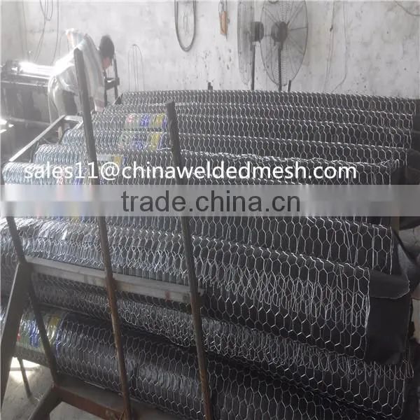 Best Price Hexagonal Mesh from Anping factory