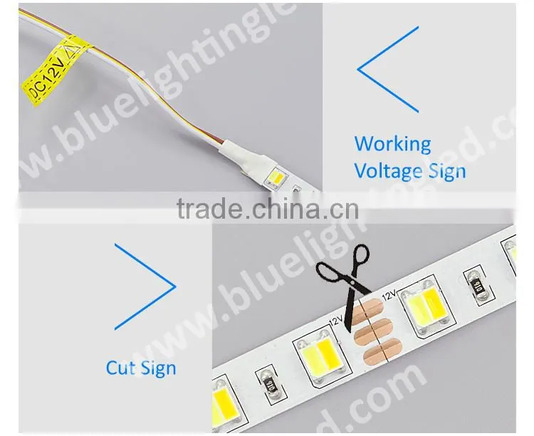 new design CCT led strip 5050LED double color in 1 LED