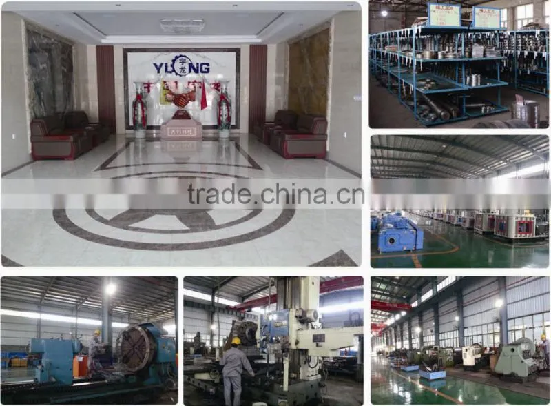 1 Ton Per Hour Ring Die Chicken Feed Pellet Making Machine with CE ISO and SGS Certificates