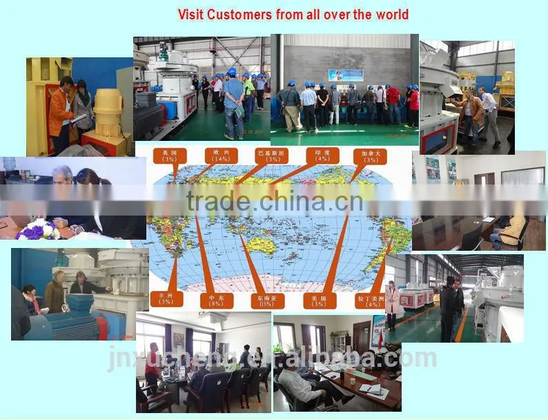 1 Ton Per Hour Ring Die Chicken Feed Pellet Making Machine with CE ISO and SGS Certificates