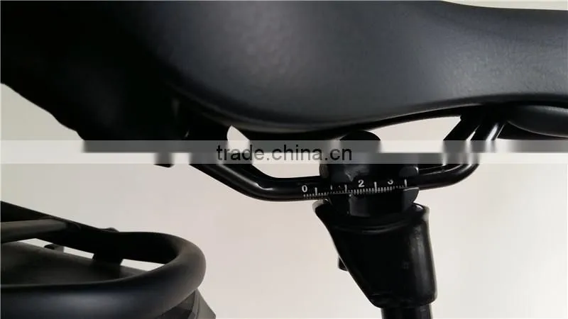 350W Electric Bicycle, Electricc Mountain Bike Supplier