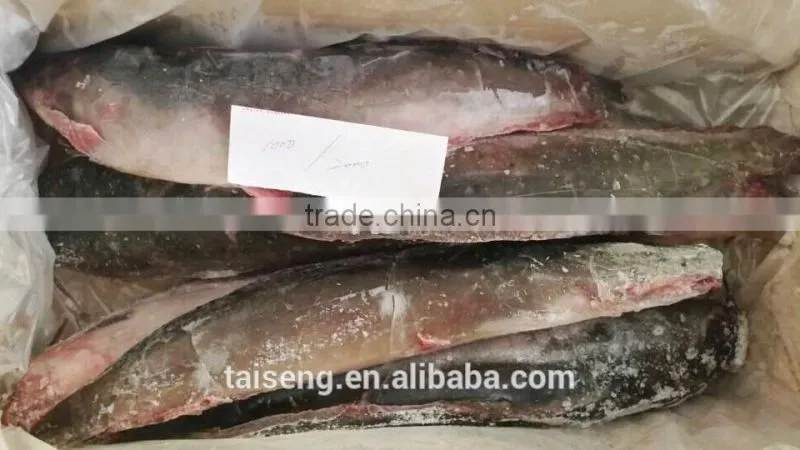 Frozen Catfish Whole Round