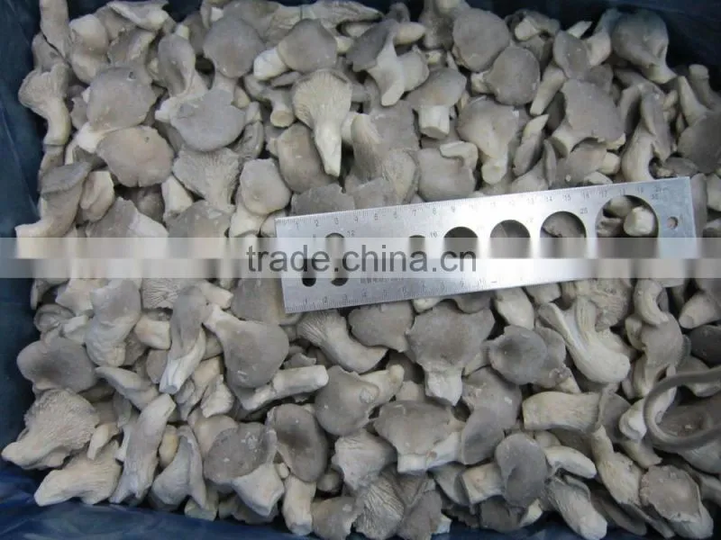 Offer very good quality Oyster Mushroom in reasonable price