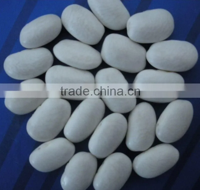 Medium White Kidney Beans