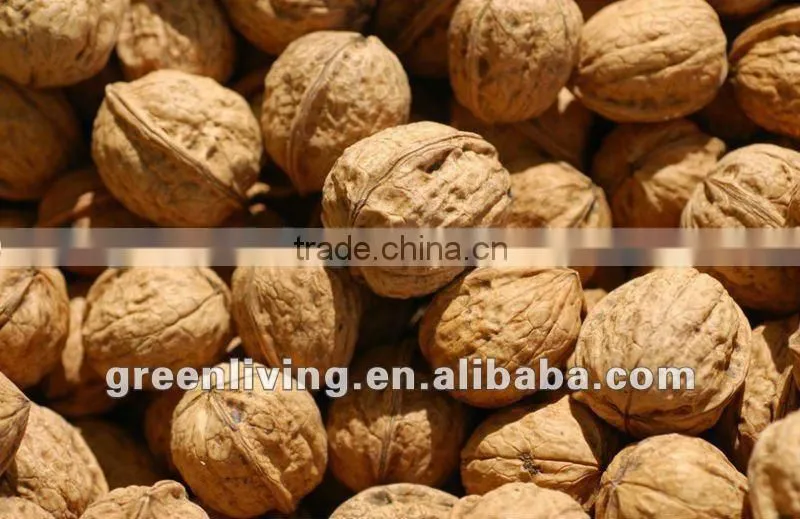 supplying the walnuts in shell , walnut kernels