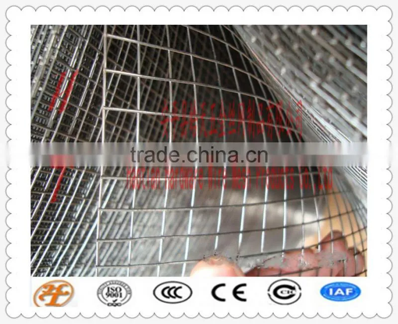 zinc/PVC coated electro/hot dipped galvanized stainless steel 304 welded wire mesh construction mesh cage welded wire mesh roll