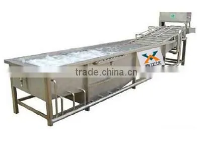 industrial fresh vegetable and fruit washing machine