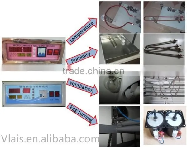 Solar eggs incubator 1056 chicken eggs incubation equipment