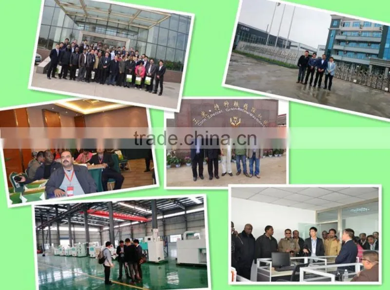 Home Use Wheat Corn Flour Milling Machine