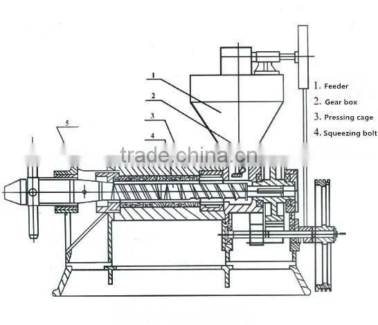 cold pressed organic evening primrose oil machine