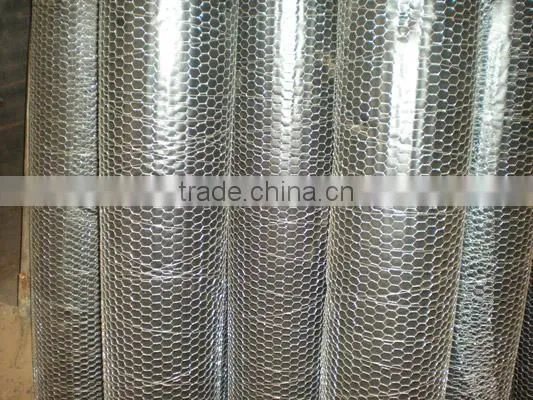 Hexagonal Wire Netting for chicken netting