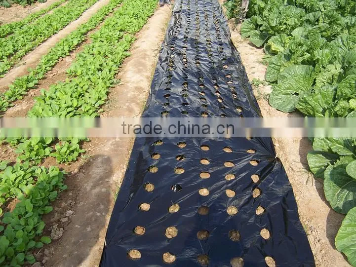 PE agricultural black mulch film with different holes