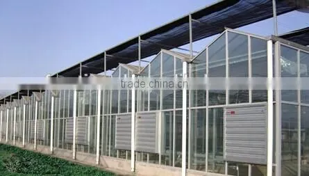 products 2016 Steel Frame steel solar greenhouses