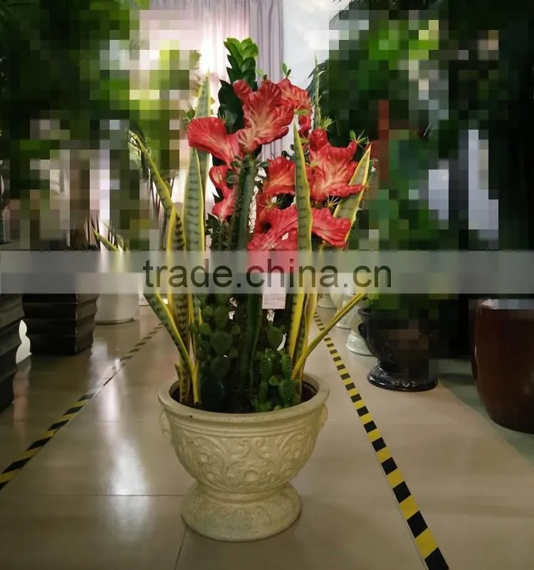 decorative jamaica cactus plant bonsai artificial cactus