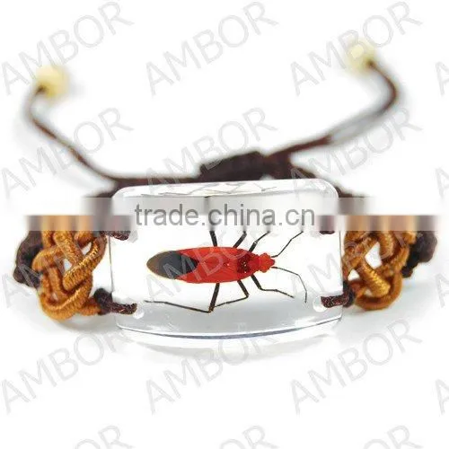 Wholesale real flower insect inserted 2015 fashion bracelet