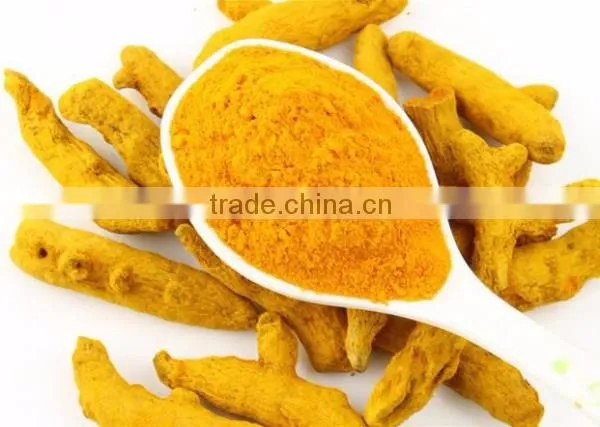 Natural Pure Turmeric Powder Bulk Producers