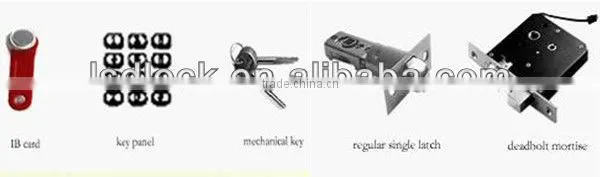 Ibutton and Numeric Code Door Locks LSD8015