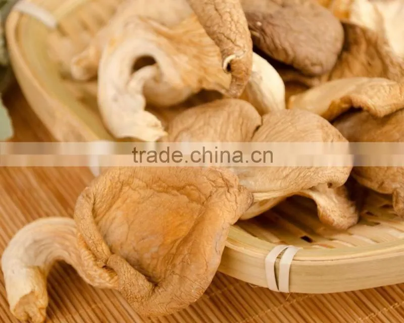 Low Price Abalone Fungus China