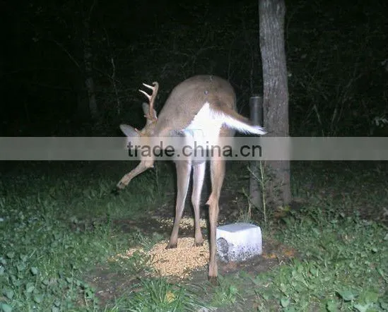 Game Camera NEW! KO-HC01
