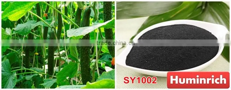 FAQ 19--Application Of Seaweed Extract Fertilizer On Vegetable