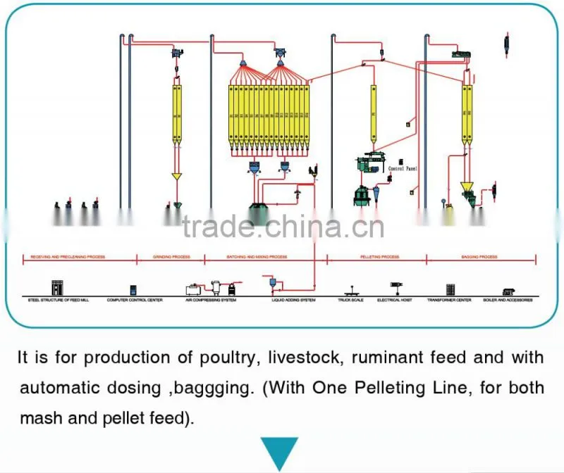 Easy maintenaince 4-6tph animal feed mill machinery