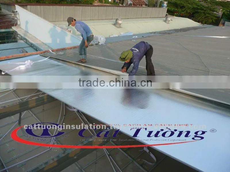 Strong Bubble House Wrap