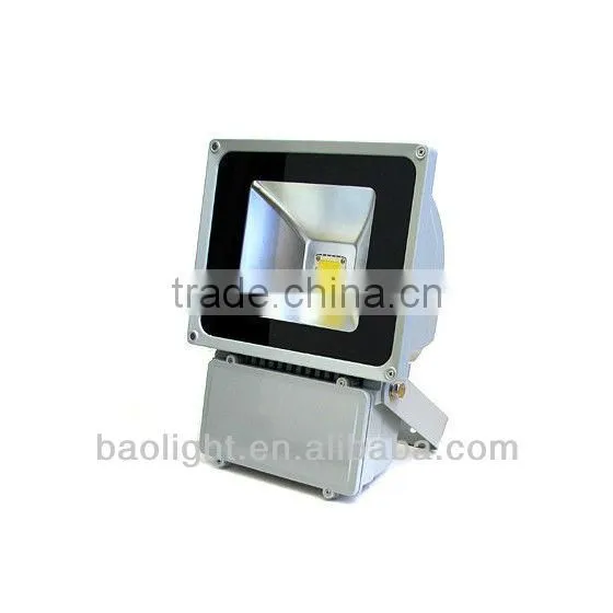 Ebay China IP65 100W Explosion Proof LED Floodlight 120V/220V