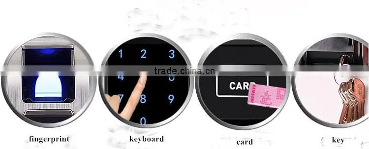 New Touch Reader Fingerprint Electric Door Lock with Keypad