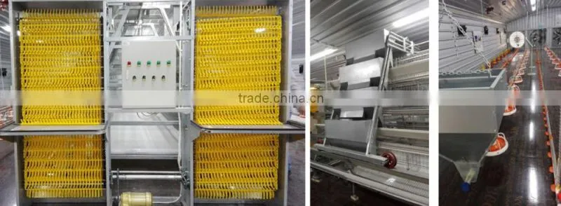 long lifespan steel structure hangar