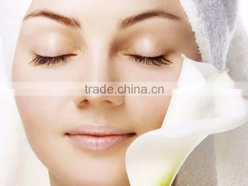 Portable Bipolar RF Machine Biopolar RF Lifting Device face lifing rf