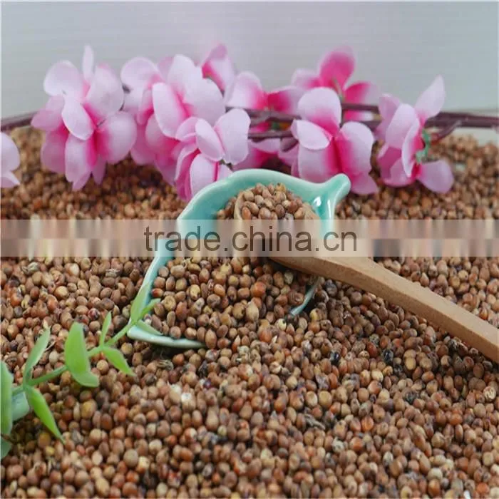 Natural Glutinous Red Sorghum price