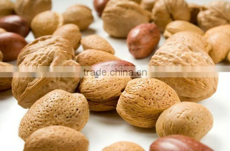 China walnuts with slump kernel