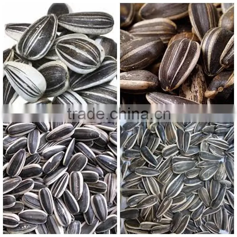 new arrival Organic sunflower seeds with best price