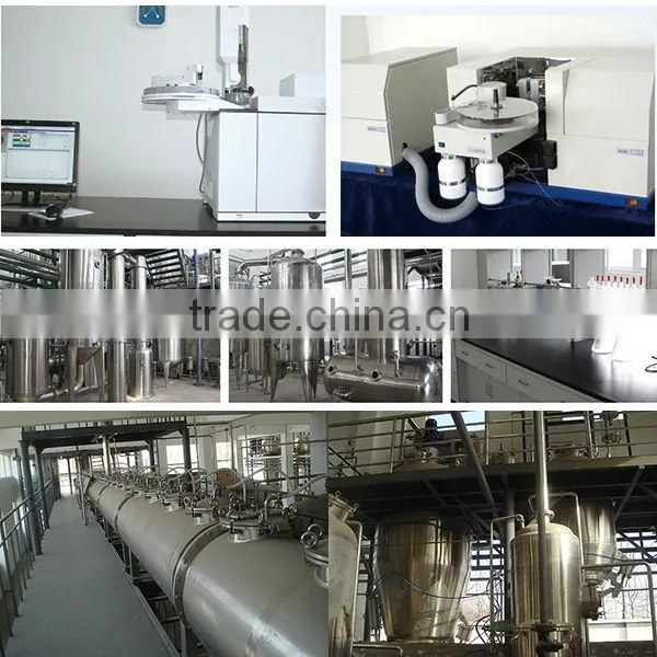 Chinese Traditional Medicine Radix Isatidis(Ban lan gen)